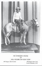 - 11 - Statue in ranch home Soapsuds Will Rogers in polo gear up Cheyenne Mountain overlooking Colorado Springs.