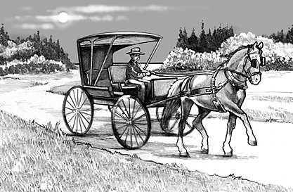 "What does thee want, Father?" asked Allen, yawning. "I have hitched Old Dob to the buggy," said Father. "Perhaps thee would like to drive to Mill Creek to visit thy grandfather." "What!