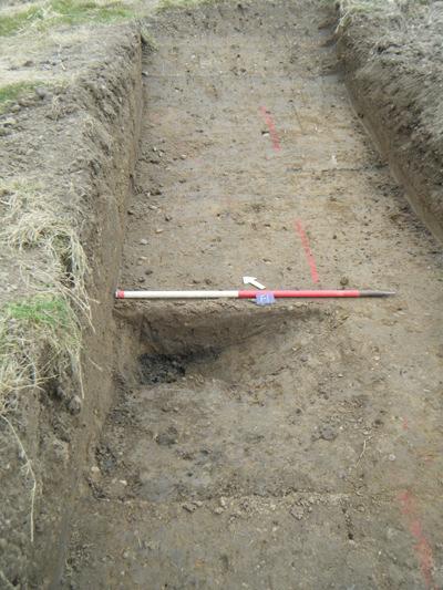 accredited archaeological contractor in accordance with a written scheme of investigation which has been submitted to and approved in writing by the local planning authority.