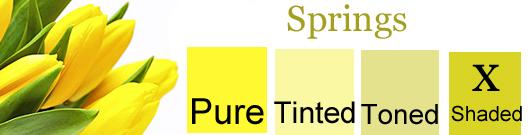 The Shaded Spring In the 4x4 Color System, each of the general four seasons Winter, Autumn, Spring and Summer is divided into four specific subcategories.