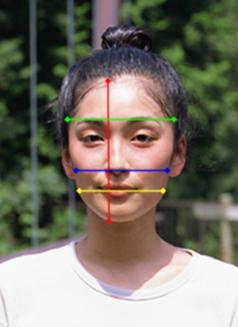 For example, if we use a large k 1 and a small k 2, then the system would treat the aspect ratio of the face more important and the shape of cheek less important in deciding the suitable hairstyle.