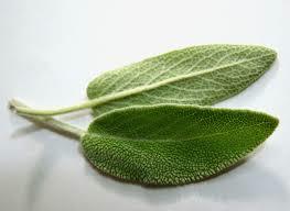 Sage, Salvia officinalis - Rich in anyoxidants which helps prevent cancer - Improves memory in people who have Alzheimer's - AnY- inflammatory - Helps diminish cold sores - Spices - Skin Care