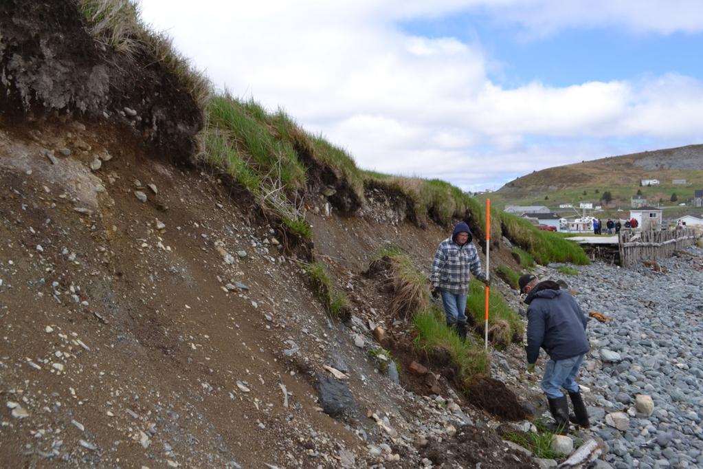 Interim Report Archaeology at Ferryland, Newfoundland 2014 Barry C.