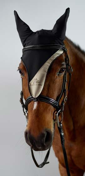 A perfect piece of our horse equipment collection: Fine Gold ear bonnets, Fine Gold vest, Fine Gold saddle pad and Fine Gold bandage.