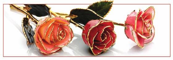 61-9146 12 Lacquered Cream Rose with 24kt Gold Trim,