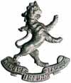 (set of 2) part 5522* St George's English Rifle Regiment, 1900-12, collar