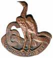 badge cast in lead with white metal coating (Grebert p69), both lances separated from elephant at top and top of wreath missing; NSW Military Forces, c1890s, horse martingale badge in cast