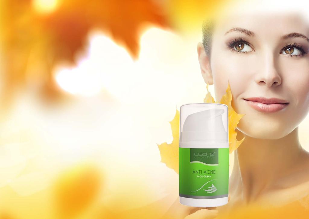 Anti Acne Face Cream 50g Recommended for oily, combined, acne-prone skin to control shine, prevent skin irritation and effectively improve snin's appearance.