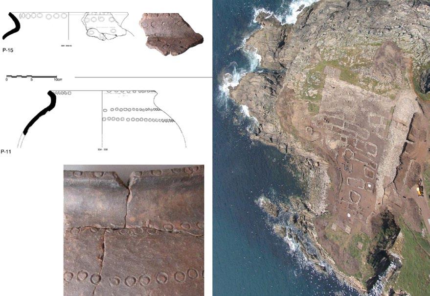 L. Nonat, M. P. Prieto-Martínez and P. Vázquez-Liz: From the regional to the extra-regional Figure 7. Stamped pottery from the site of Punta de Muros (9th-8th centuries BC) (based on Cano 2012).