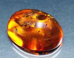 Name Image Uses of the Particular Crystals/GemStones Contains anti-inflammatory and detoxifying effects Yellow Amber In East, amber is known as the symbol of courage; Asian cultures regard amber as