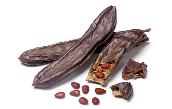 seed pod seed Word Wise In ancient times, seeds from a carob tree were used to see how much a diamond weighed. Most carob seeds are the same size and weight.