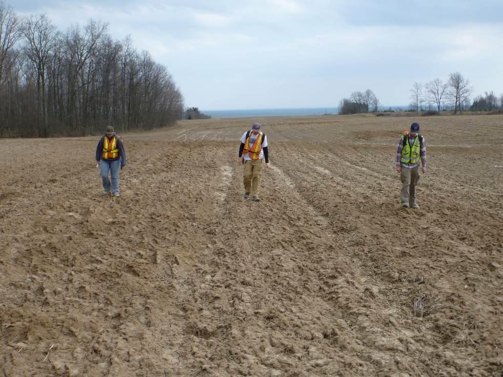 83 Image 7: View of Crewmembers Pedestrian Surveying at a