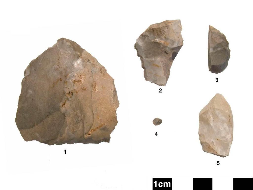 97 Image 32: Sample of Lithic Artifacts from Ryerse 19 (1: Combination Scraper;