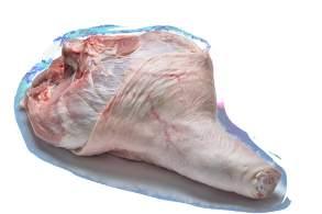 HIND QUARTER HIND FEET SC-30 Cut with a saw. Without hooves, fractures, bruising, clots, hair, or bile stain.