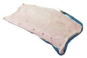 FAT PIECES BELLY SKIN SC-50 Skin of the fat sheet Mechanically separated by a skinning machine Cut on both sides horizontally Hair, clots, bruising, fat, meat leftover and flaps removed Red