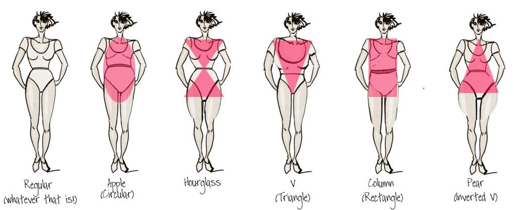 TYPICAL BODY SHAPES These are the typical shapes of bodies. You may have parts of some or another, but you will have one major overall shape and that s what we re concerned with here.
