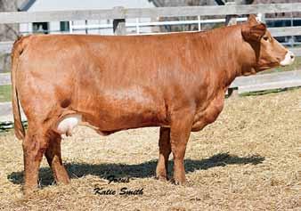 WS A Step Up X27, AI Sire This has to be one of the best bred heifers we have ever offered! They say a picture is worth 1,000 words and I would have to agree after looking at her s.