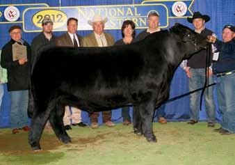 71 Mytty In Focus AI Sire: Goet I0 on 5-12-15 Est. PM EPDs: 15-2.15 49 70 9 21 45 14.3 Carcass: 7.9 -.20.30 -.04.