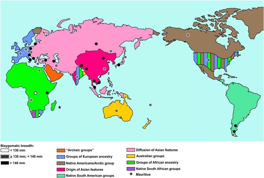 ANCESTRAL VARIATIONS OF THE ZYGOMA 201 Fig. 3. World map indicating demic groups with bizygomatic breadths. (Relethford, 1994; Novita, 2006).