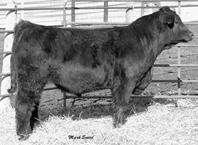 S0 was a twin and his actual was 9 lbs. on a second calf dam.