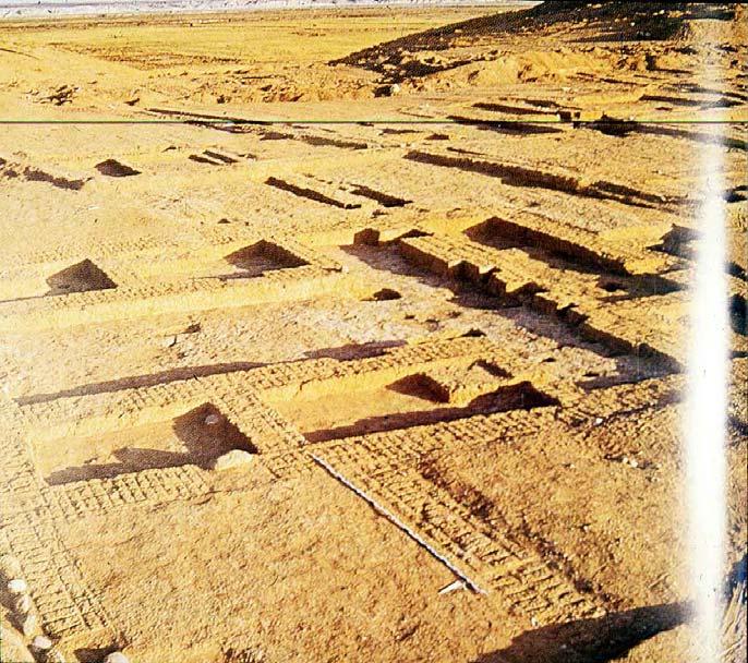 Largest of the southern-occupied urban settlement (20 000 m 2 ) Occupied only during Uruk