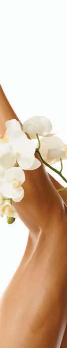 2 Energising Oil (50ml): Massage the oil into feet to