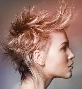 Comment form Unit 226 The art of colouring hair This form can