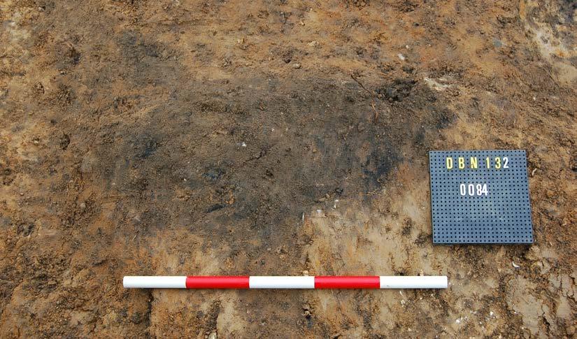 clayey silt (0083) with moderate amounts of charcoal and occasional flecks of burnt bone (Pl. 2). The small amount of cremated remains recovered indicate the presence of another adult cremation.