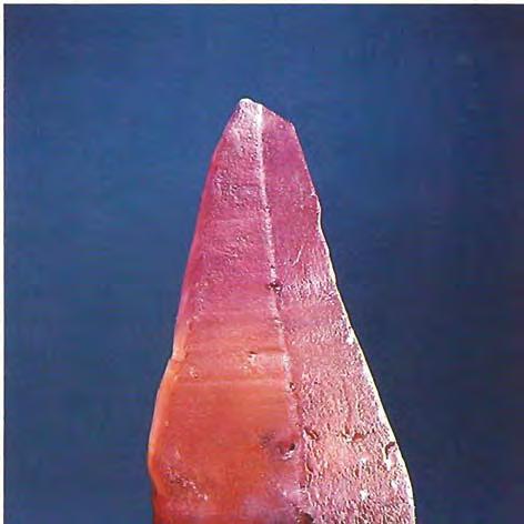 Figure 6. This 30-ct pinkish orange sapphire was believed by many observers from both GIA and the trade to agree with their perception of the term padparadscha. Photo by Tino Hammid. nation.
