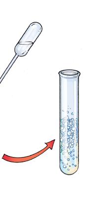 as if you are pouring the air out of it. Do not allow any of the liquid in the test tube to spill out.