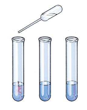Close the test tube with the stopper and shake.. Divide the solution among three test tubes.