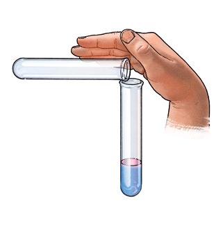 . Add 5 drops of litmus solution to cm of water in the first test tube, and shake it a little.
