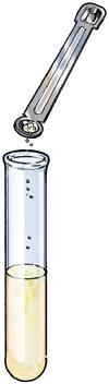 36 Prussian blue EXPERIMENT 9 test tubes measuring spoon pipette ammonium iron(iii) sulfate potassium hexacyanoferrate(ii) cup of water x AMMONIUM IRON(III) SULFATE Save the solution.