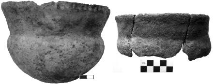 White Chipla Cutoff Mound 249 Figure 6. Weeden Island Plain cutout vessel with bird effigy adorno (adapted from Moore 1903:Figure 104 by J. Du Vernay).