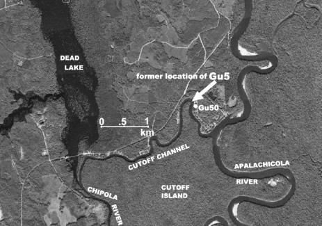 White Chipla Cutoff Mound 243 Figure 3. Former location of Chipola Cutoff mound, 8Gu5 (arrow), today underwater (adapted from Google Earth).