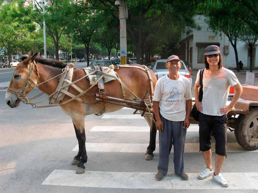 4 began to see a different, unexpected dimension of the project. The donkey and her handler Mrs Tang were arrested on their way into the city to meet with us. The charge was trespassing.
