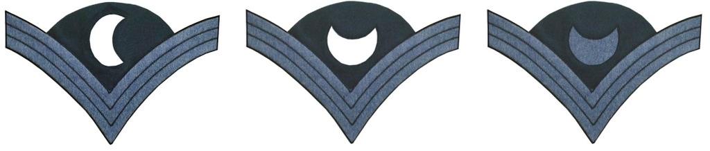 In 1873, three new ranks were created Color Sgt, Chief Trumpeter and Saddler Sergeant.
