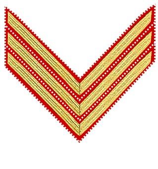 00 $35.00 $49.00 $89.00 And More Army Regulations In 1885, new chevrons for Dress Coats were adopted which used 1/2 gold lace on a branch of service colored backer.