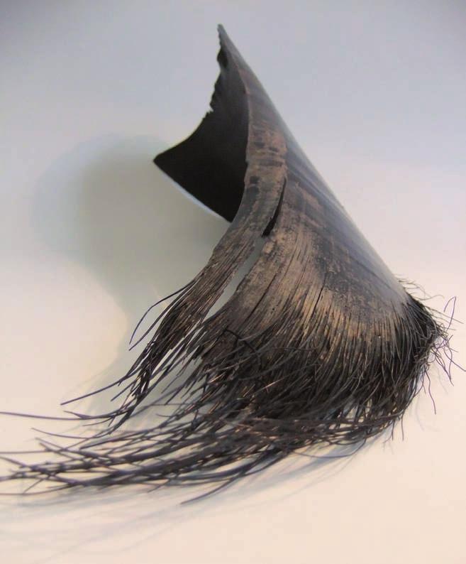 Look at the thin ridges that run the length of the baleen. They are like the ridges in your nails. Feel the frayed edge of the baleen- do you think it would be good at catching tiny sea creatures?