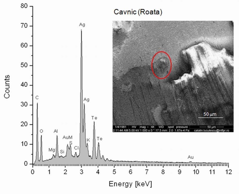 6 Studies on Transylvanian native gold samples from Rosia Montana and Cavnic deposits using micro-pixe 313 To identify the Te-Ag(Au) mineral, we examined Sample no. 5 using SEM - EDAX (see Fig.
