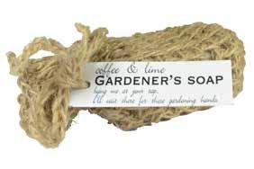 Fragrance free aloe soap.