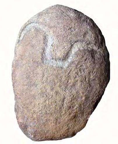 Classes of ram horns from Eurasian Neolithic. Fig. VIIB.32. River stone with allegorical ornamentation showing a fu rred ram head from Lepenski Vir (Iron Gates, Republic of Serbia). Fig. VIIB.33.