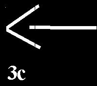 Only the double head (at Tărtăria the arrow body is not joint with the double head code 1b5) is