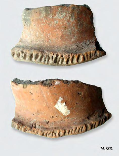 24 CHAPTER II Fig. II.9. Foeni Petrești pottery, level 2a1. Fig. II.10. Vinča pottery. Fig. II.11a b.
