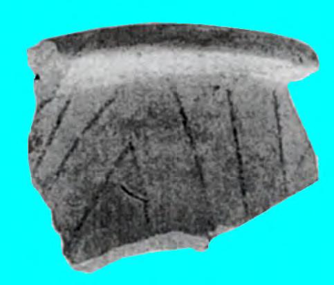One of the pots discovered by N. Vlassa (fig. IV.47.1) might belong to phase A of the Petrești culture, but it might be later, too.