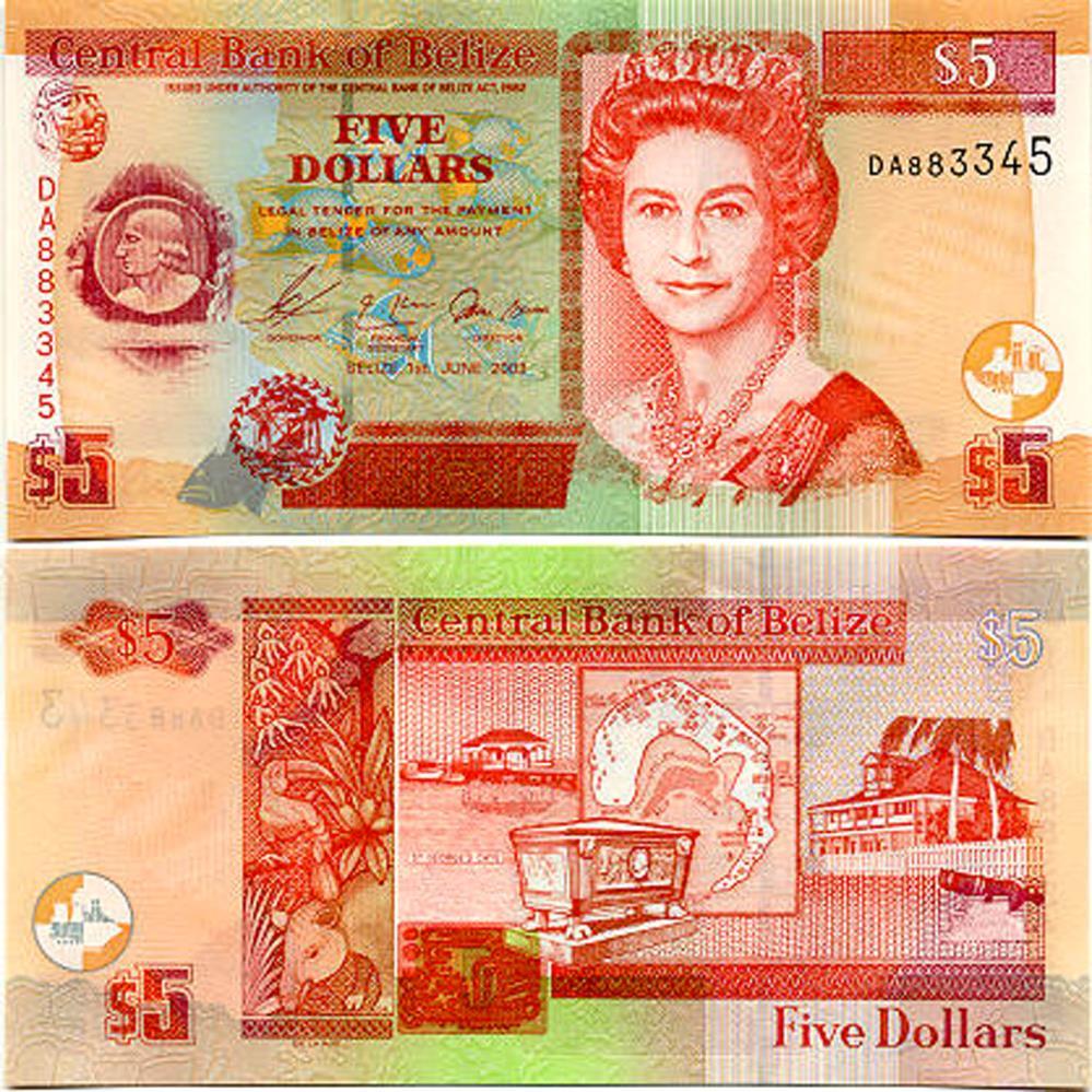 Figure 1.3. Belize 5 dollar bill.