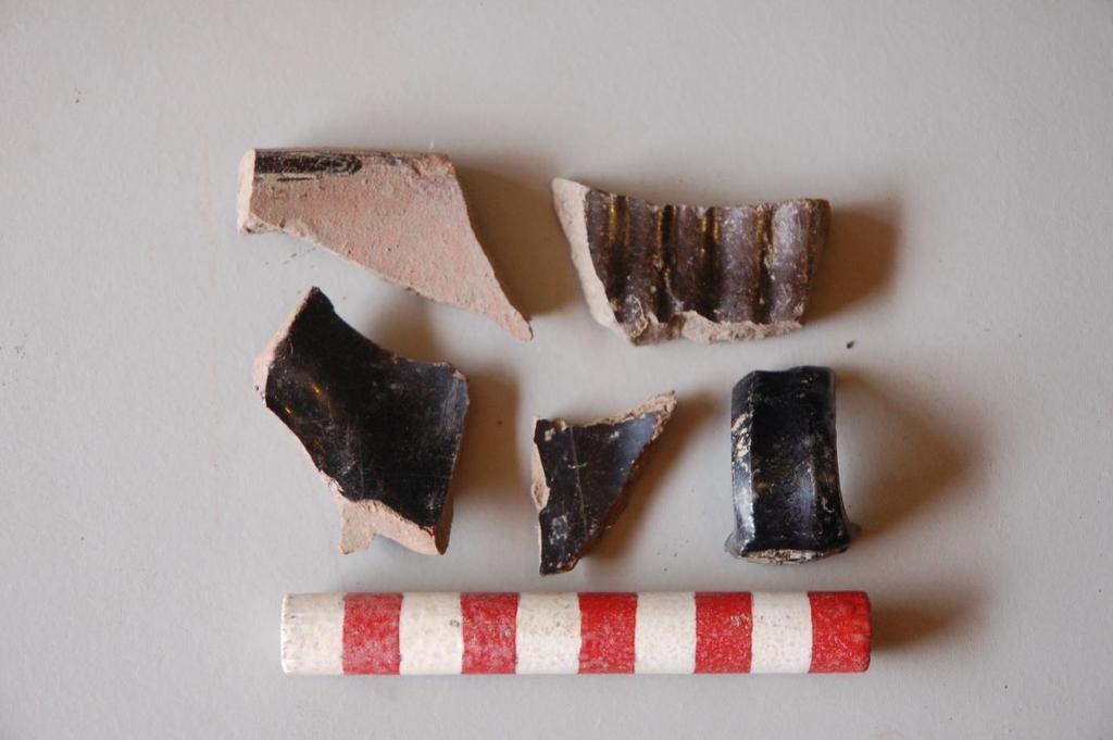 2.2 Fragments of Cistercian ware 10
