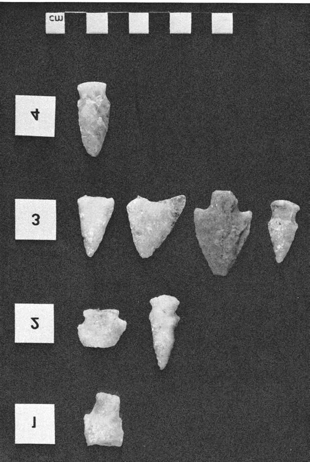 No. 88, Spring, 1984 5 Figure 2. Diagnostic projectile points from Levels I-4. Square, Postmold Locus, Long Island.