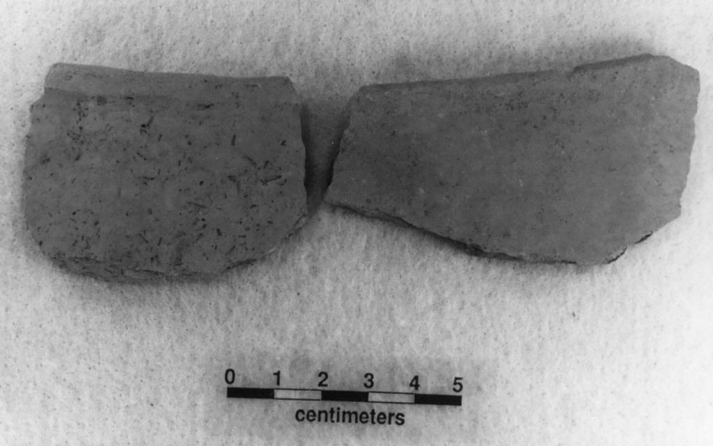 Prehistoric Caddo Ceramics from the Henry Lake Site (41CE324), Cherokee County, Texas Timothy K.