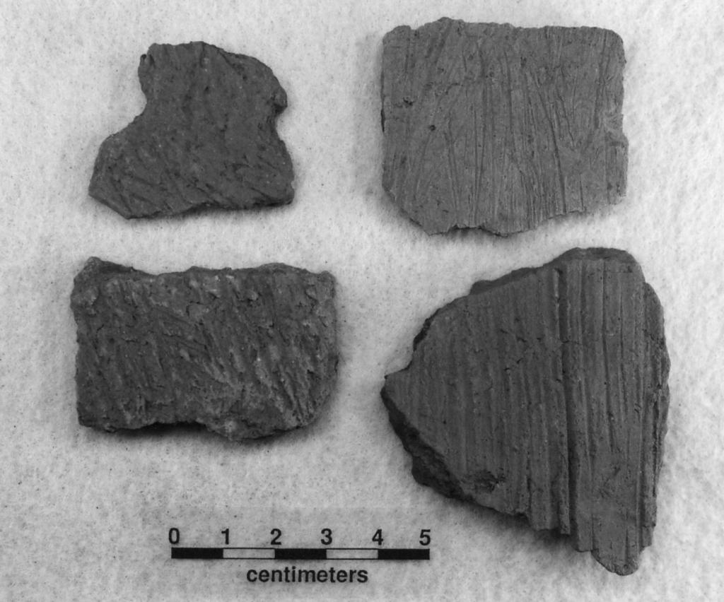 Perttula Ceramic Vessel Sherds from the Kah-Hah-Ko-Wha Site (41CE354) 67 a b c d Figure 4.